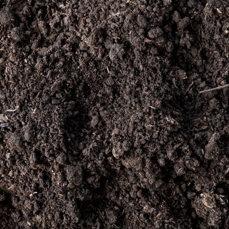 close up detail of soil texture valdosta ga